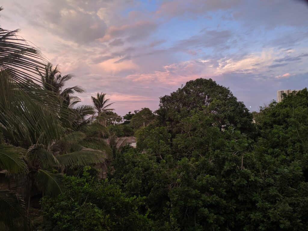 A Cuántos Metros Está Barranquilla Sobre El Nivel Del Mar Altitud Y