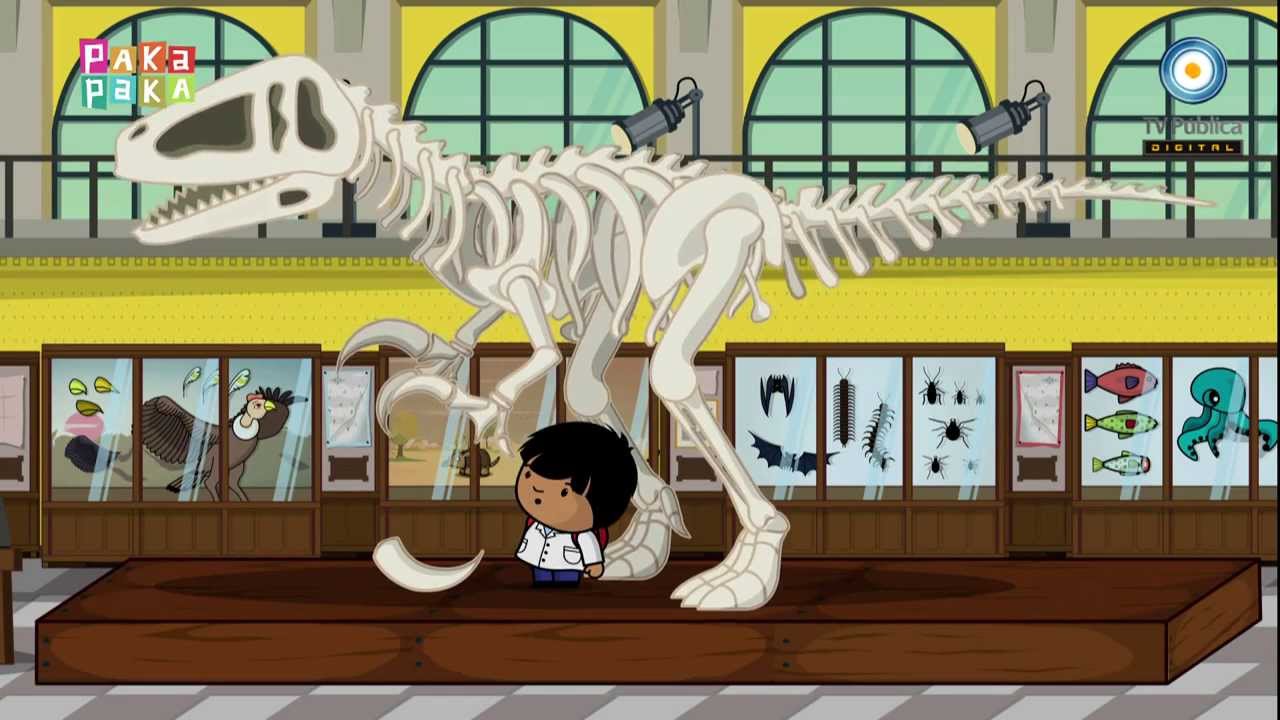 Aprendizaje interactivo: Visita el Museo de Ciencias Naturales en Medellín