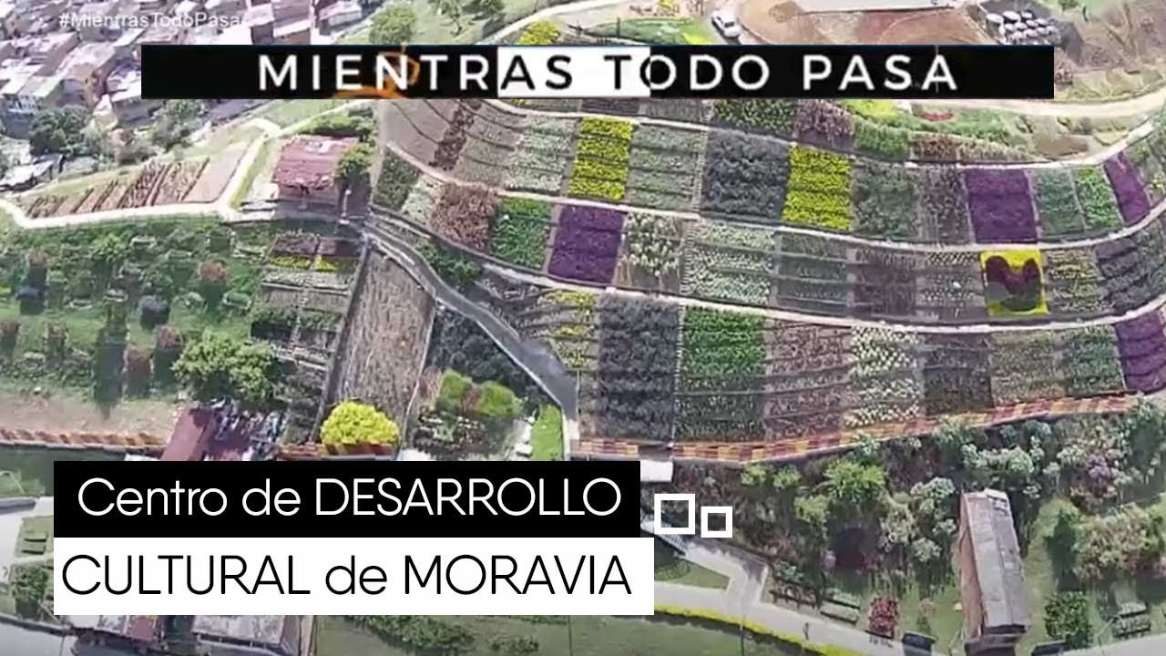 Arte y comunidad: Explora el Centro de Desarrollo Cultural de Moravia en Medellín
