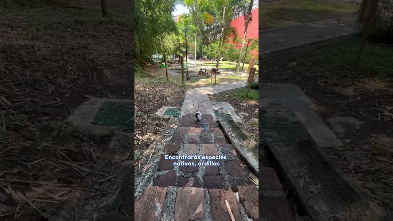 Encuentro con la naturaleza: Descubre el Parque del Nordeste en Medellín