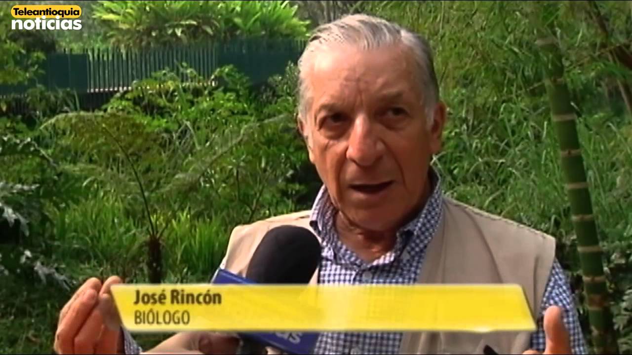 Espacio verde y relax: Descubre el Parque del Oeste en Medellín