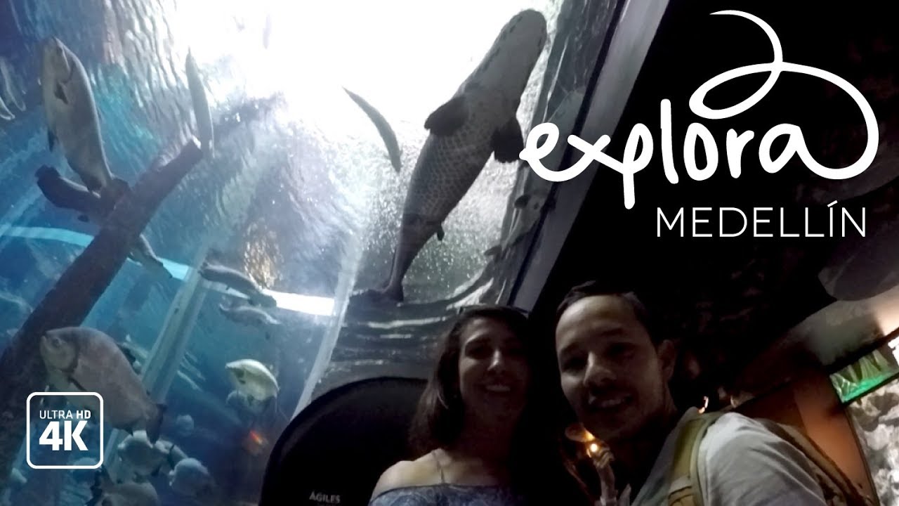 Estrellas sobre Medellín: Explora el turismo astronómico en la ciudad