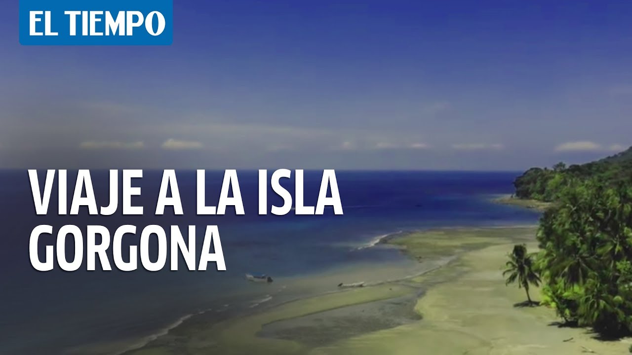 Descubre las maravillosas experiencias en Isla Gorgona: tu guía completa de turismo en Colombia