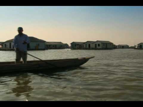 Descubre la maravillosa Fauna y Flora en Ciénaga Grande de Santa Marta: Un paraíso natural en Colombia