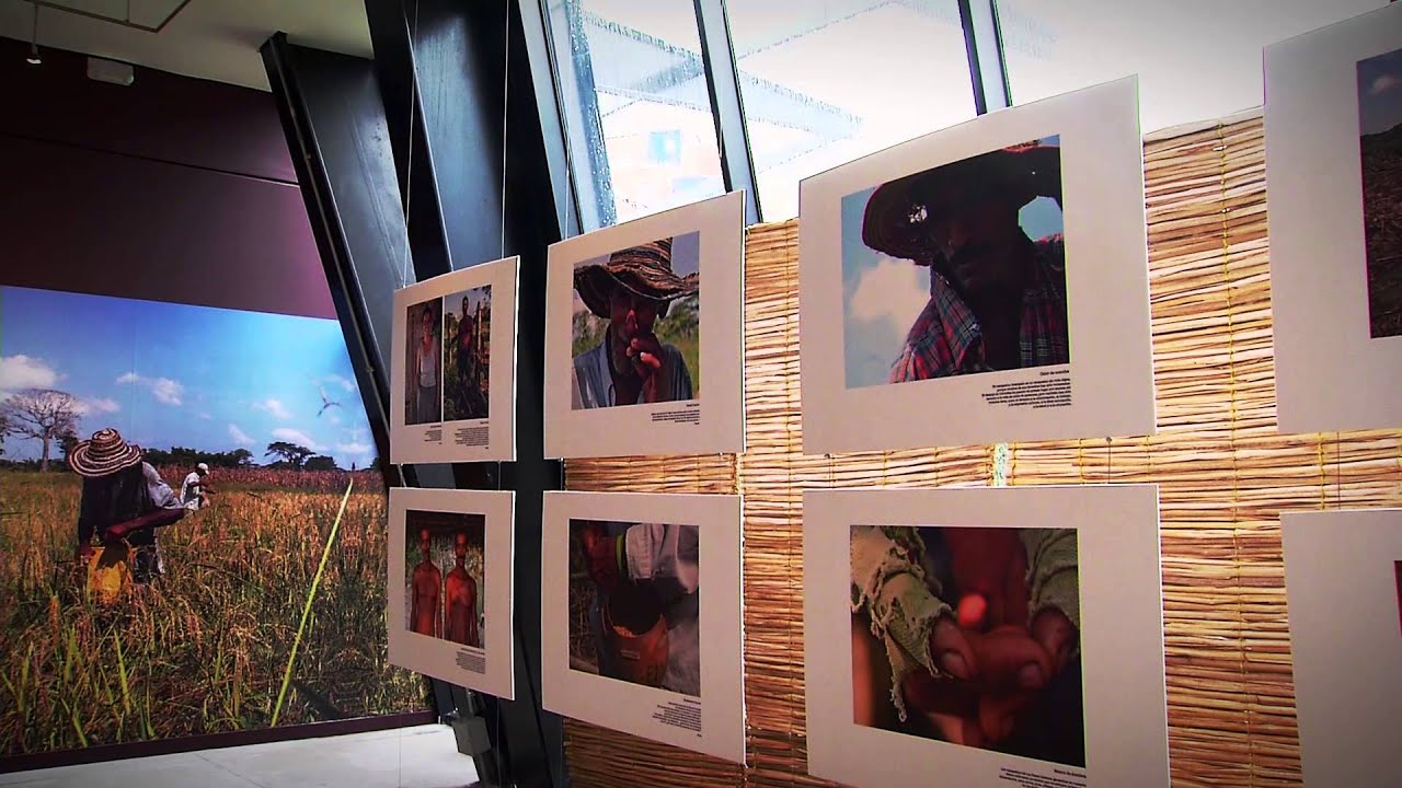 Historia y reflexión: Visita el Museo Casa de la Memoria en Medellín