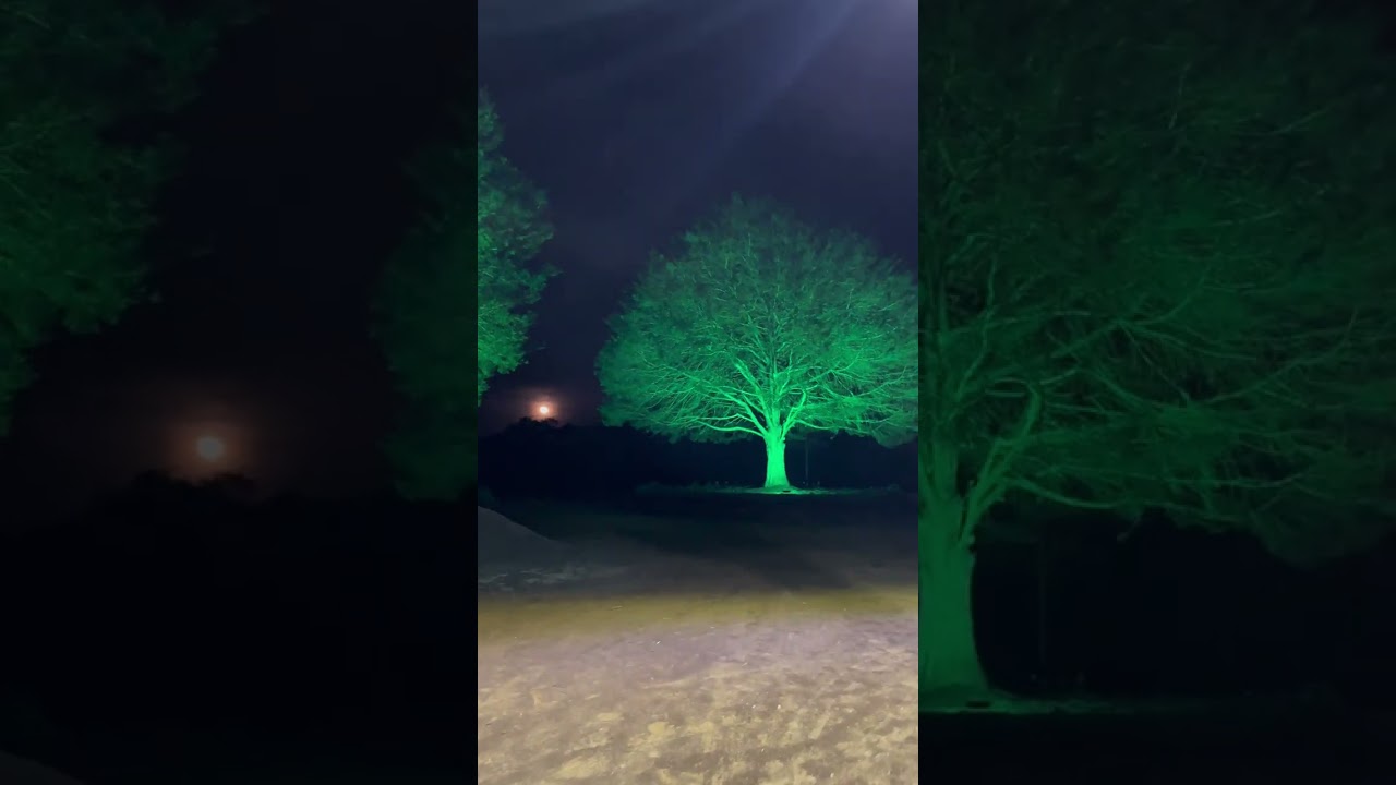 Luces que deslumbran: Disfruta de miradores nocturnos en Medellín