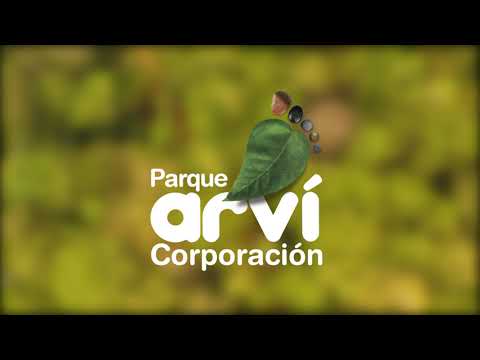 Naturaleza y sostenibilidad: Descubre el Parque Regional Arví en Medellín
