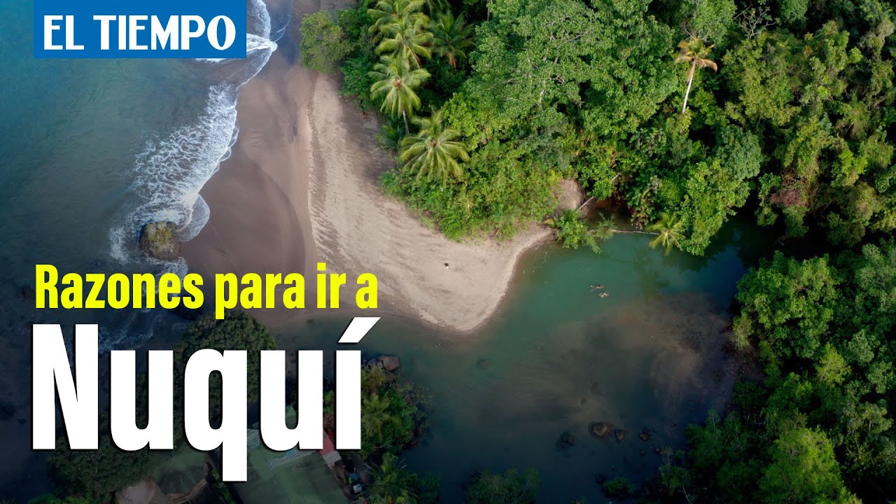 Descubre Los Inolvidables Paraísos En Nuquí: Explora La Belleza Natural ...