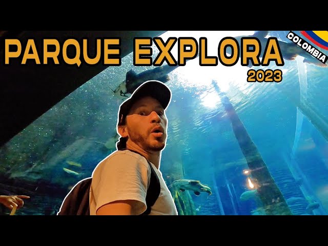 Recreación al aire libre: Explora el Parque Olaya Herrera en Medellín