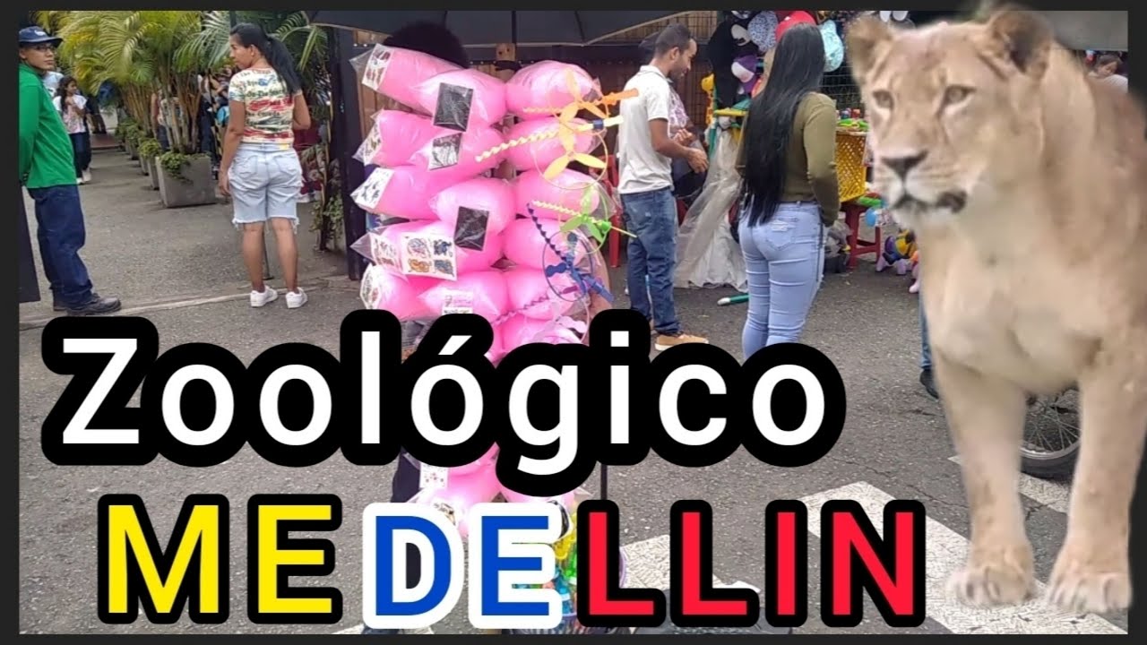 Descubre la increíble diversidad de animales en el zoológico de Medellín: ¡Una experiencia inolvidable!