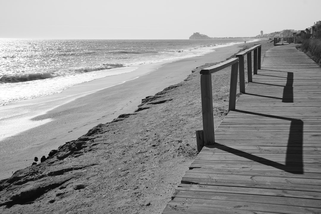 Descubre Qué País Es El Verdadero Dueño Del Mar Rojo: ¡La Respuesta Te ...