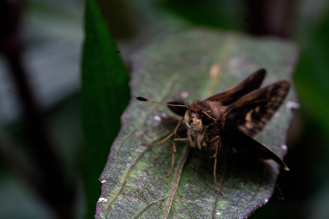 cementerio abandonado medellin