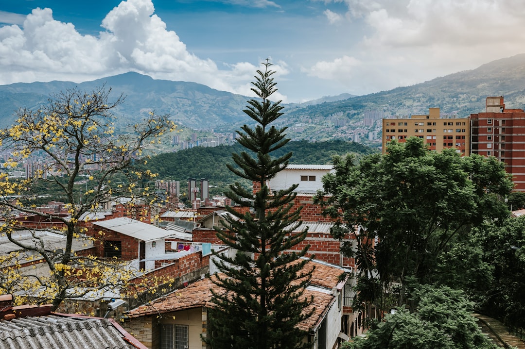 como esta dividido medellin