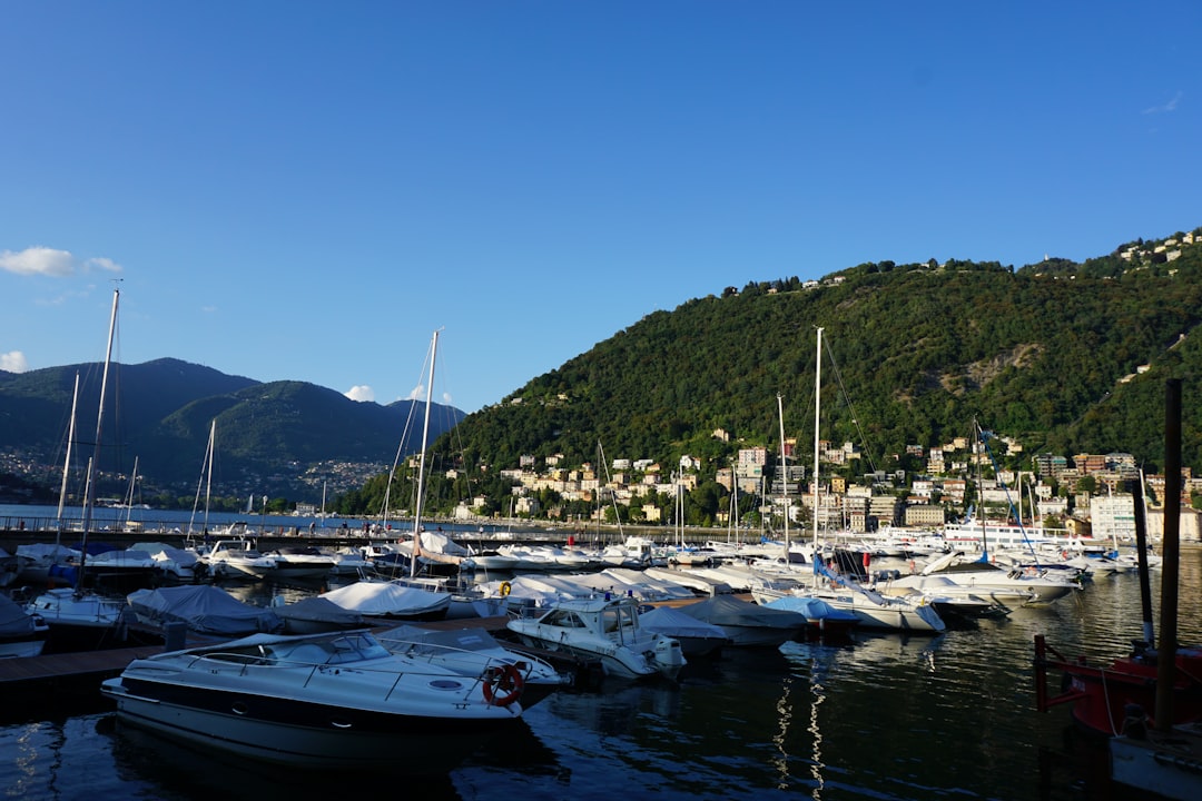 como saber el estrato