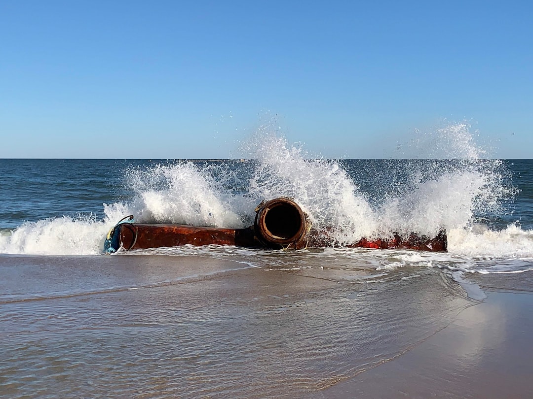 cuando es la feria de las flores en medellin 2024