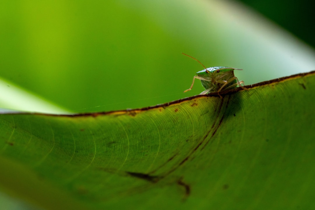 distancia medellin uraba