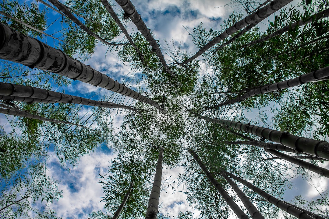 el pueblo mas chismoso de colombia