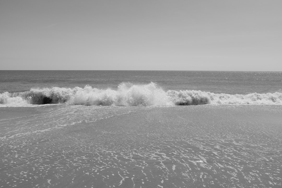 festival de las flores medellín 2024