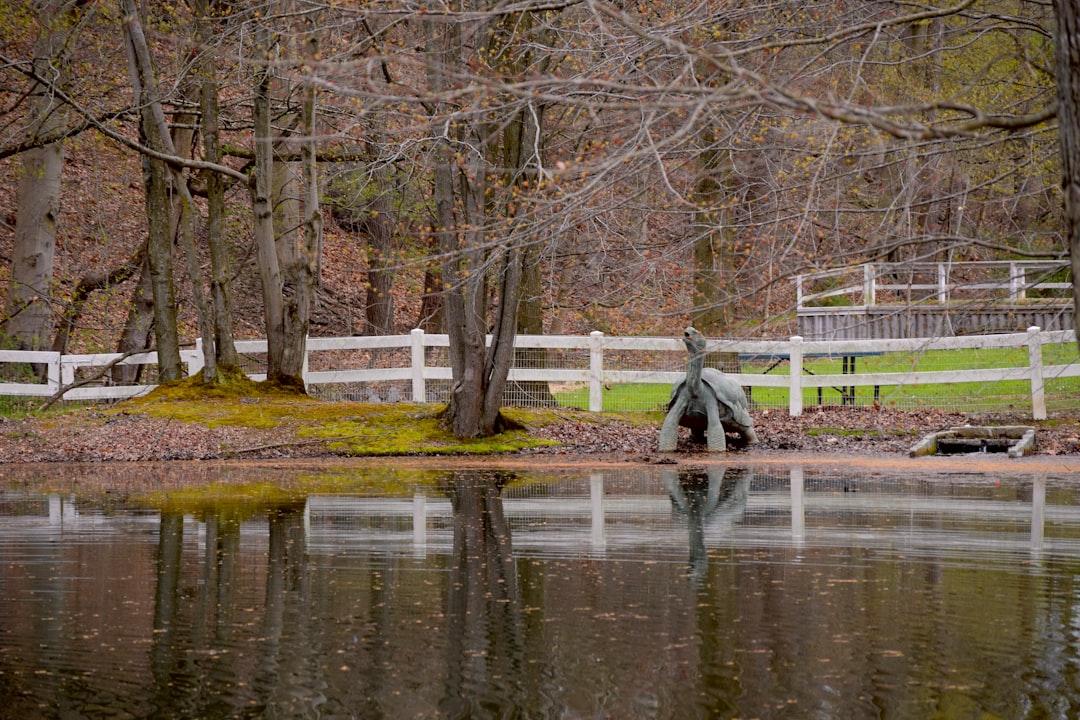 medellin fiesta de las flores 2024