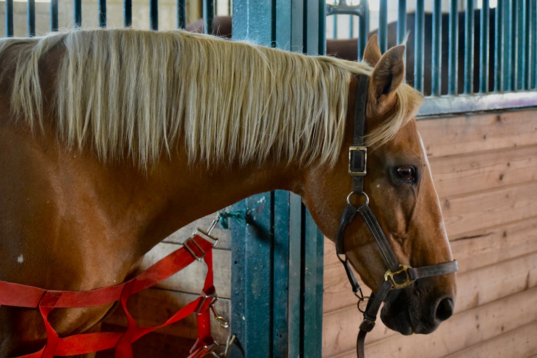 parque de las chimeneas historia