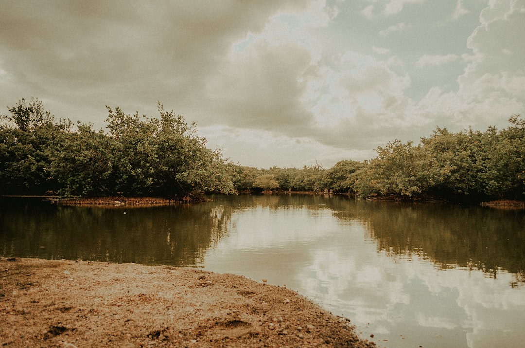 parque zafiro