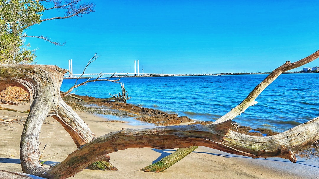 programación feria de las flores 2024