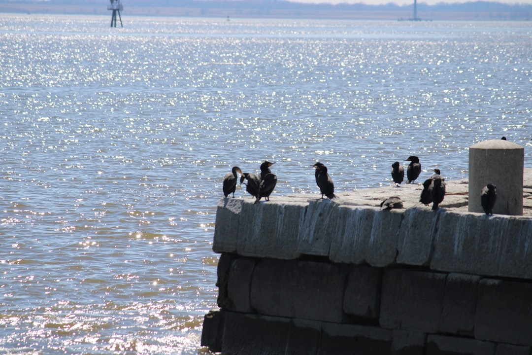zona rosa de medellín
