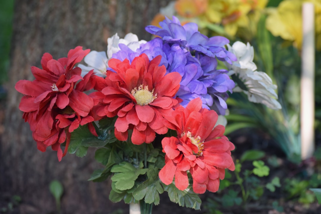 ¿Cómo se llama el lago de Medellín?