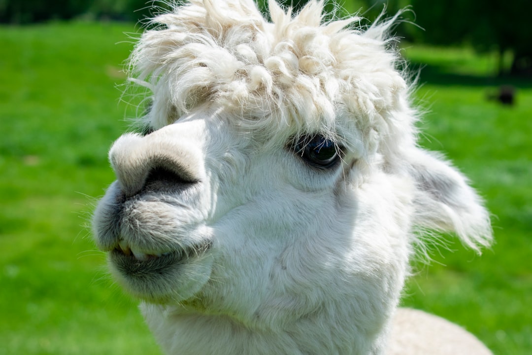 Descubre el nombre del lugar en Barranquilla donde el mar y el río se unen