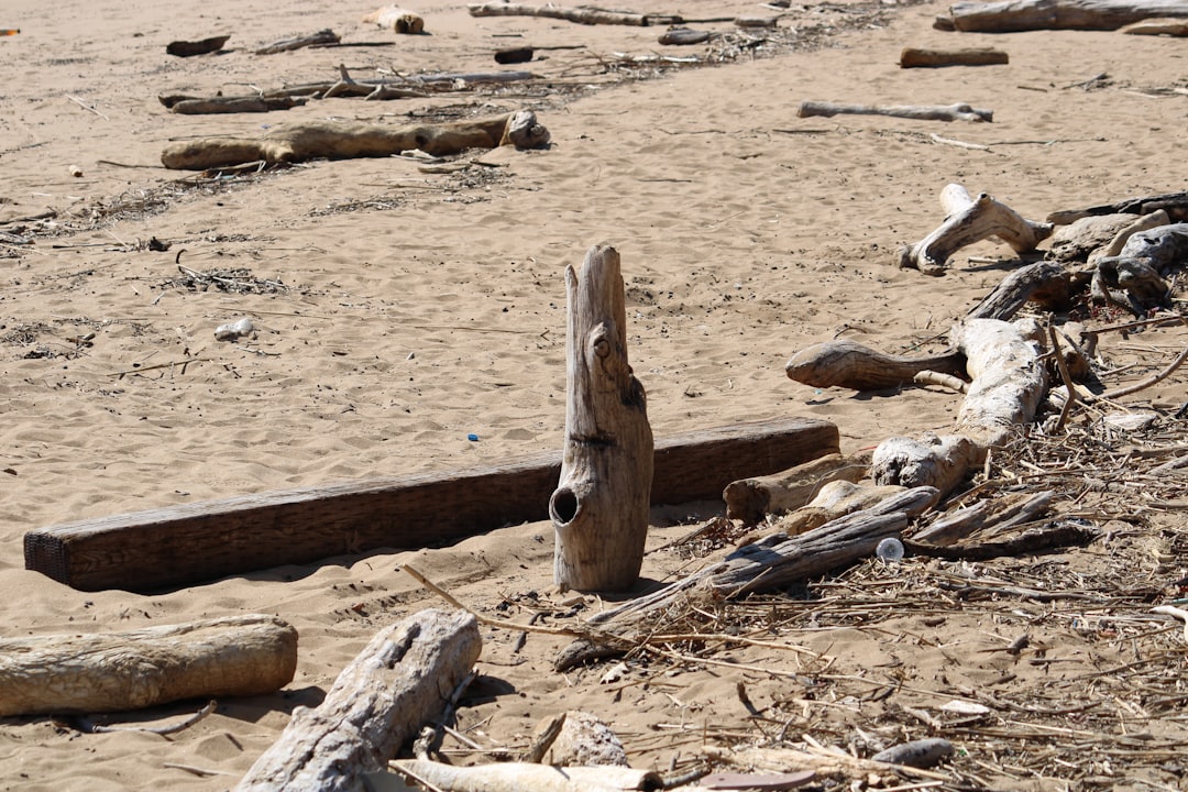 Descubre el Nombre del Mar de Barranquilla: Todo lo que Necesitas Saber