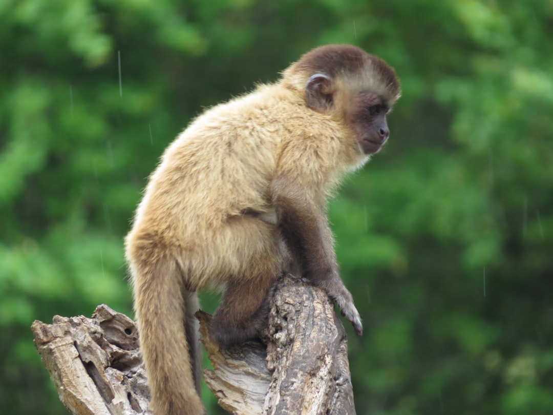 ¿Cómo se llama el mar de agua dulce y salada?