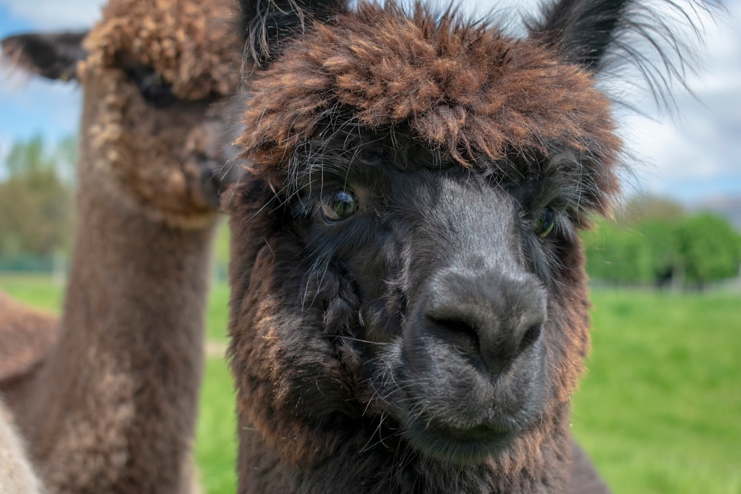 El Mar Caribe: El Nombre del Mar que Baña a Barranquilla Explained