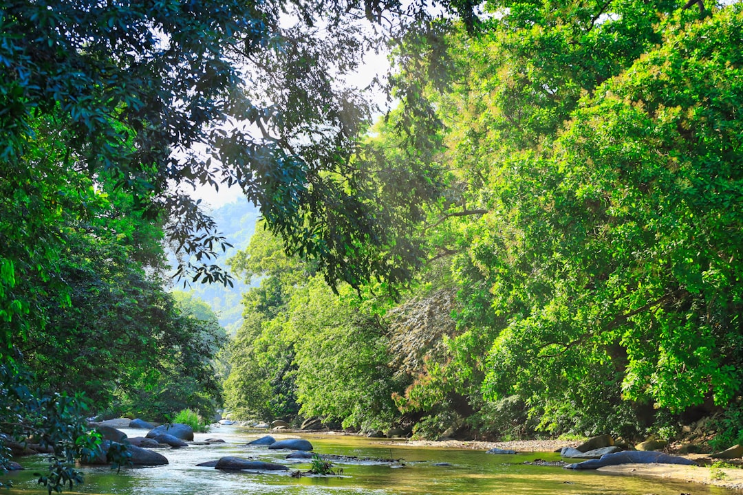 ¿Cómo se llamaba antes el río Magdalena?
