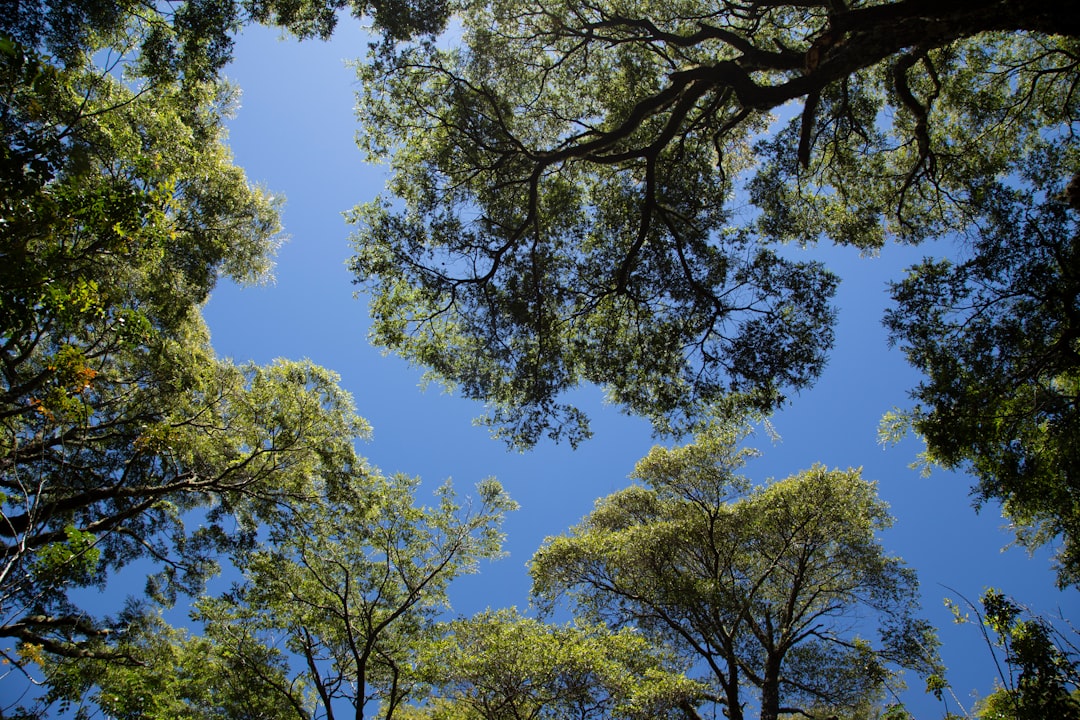 ¿Cuál es el pueblo más chismoso del mundo?