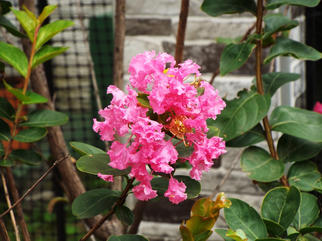 Descubre la Ciudad Más Hermosa de Colombia para Visitar