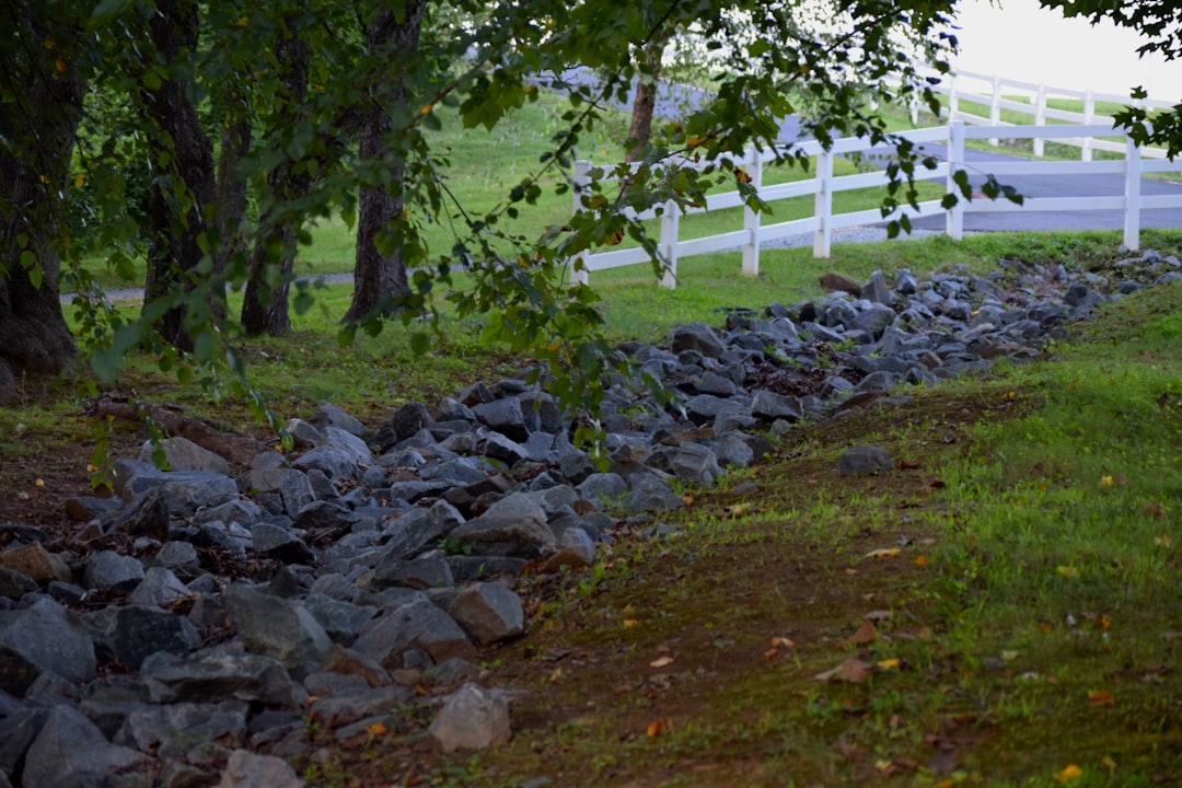 ¿Cuáles son los 4 días de Carnaval de Barranquilla?