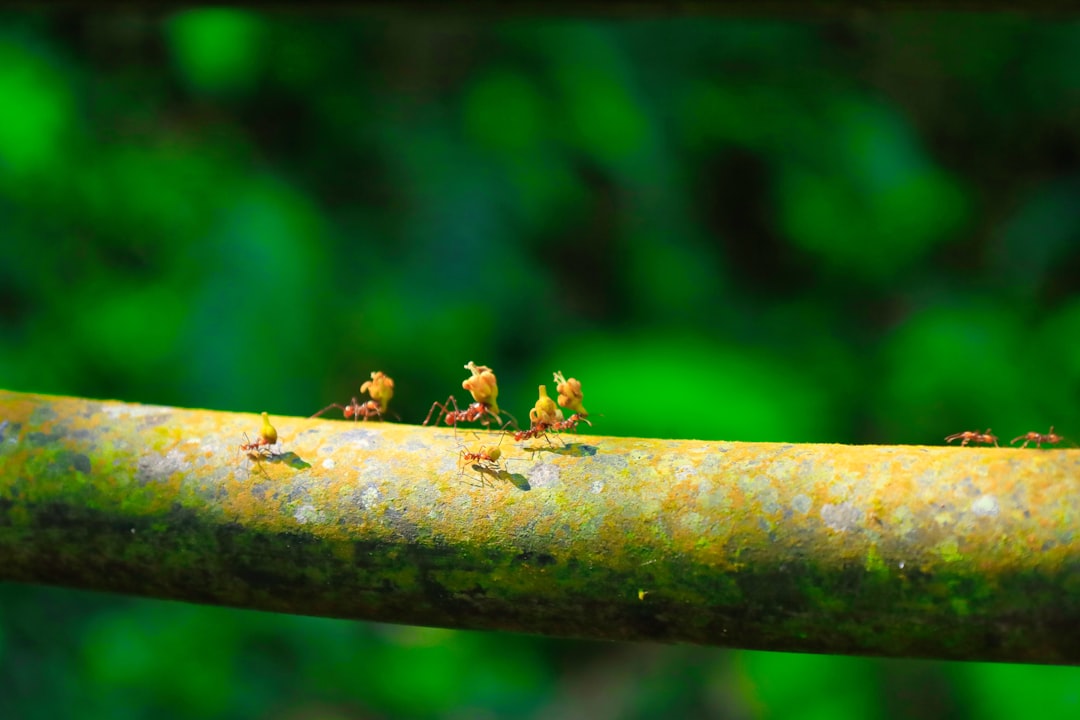La profundidad del río Magdalena en Barranquilla: Todo lo que necesitas saber