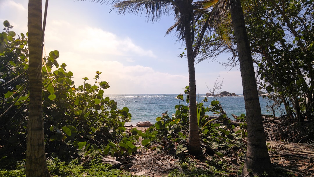 ¿Dónde hace más calor en Barranquilla o Valledupar?