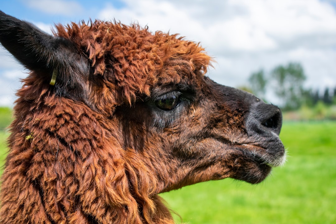 ¿Qué es el mar Rojo y porque se llama así?