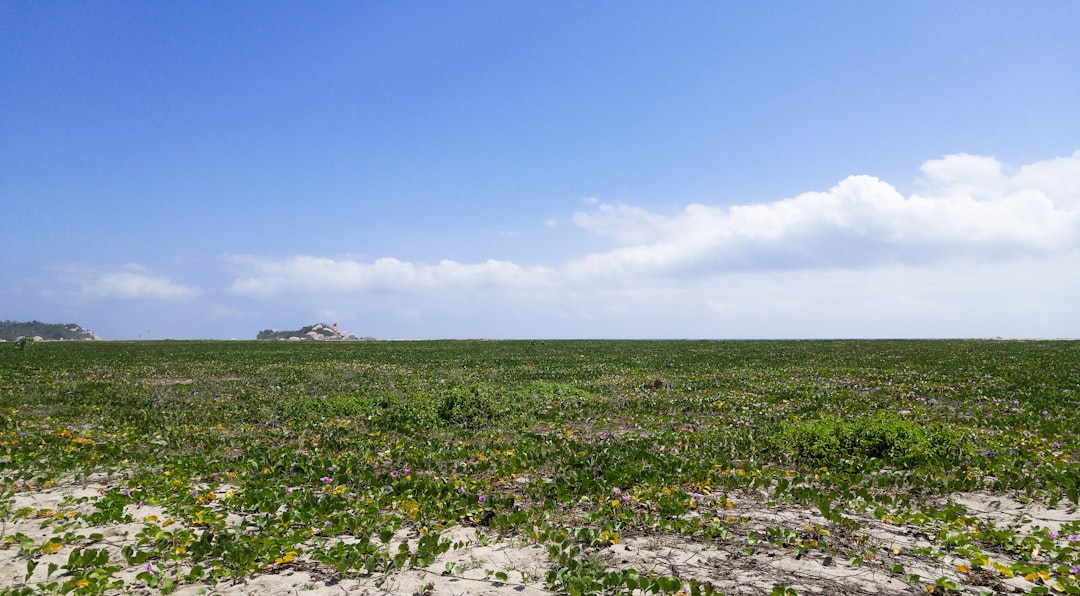 Explorando lo especial de Barranquilla: Descubre su encanto único