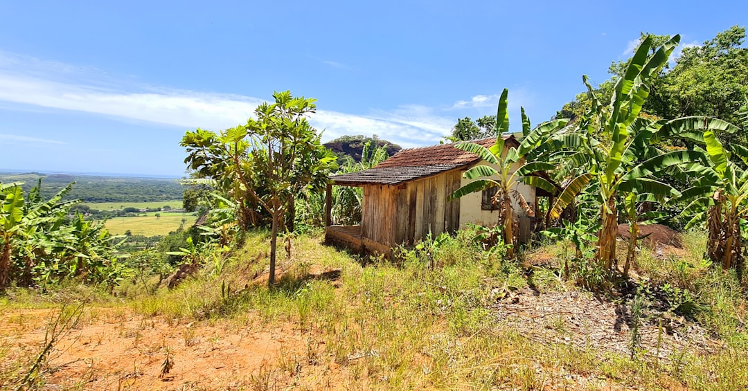 ¿Qué tan navegable es el río Magdalena?