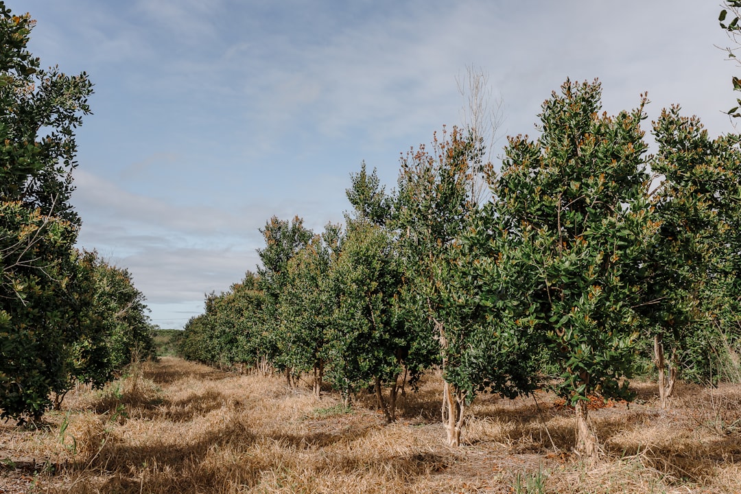 Descubriendo la profundidad del Lago de Tota: Todo lo que necesitas saber