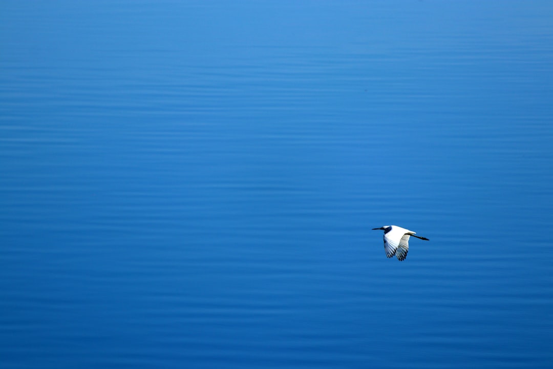 Descubre el negocio del futuro que te hará triunfar