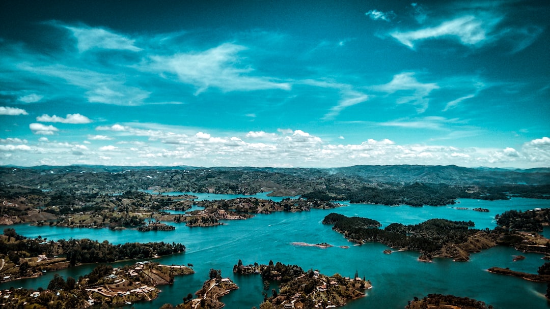 Descubre el negocio más rentable en Colombia: Guía completa