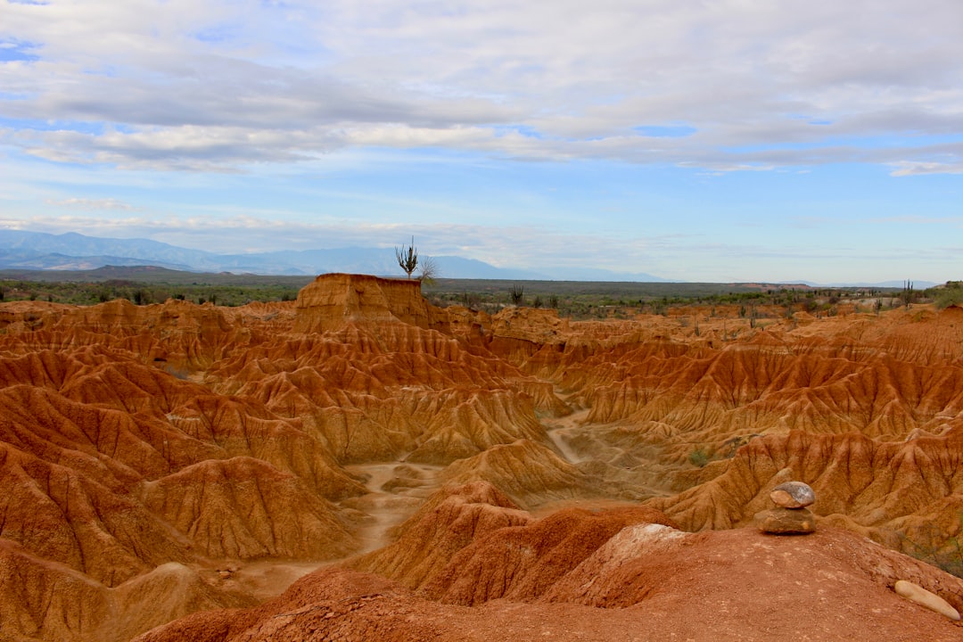 Descubre el negocio más rentable en Colombia para el 2024 y maximiza tus ganancias