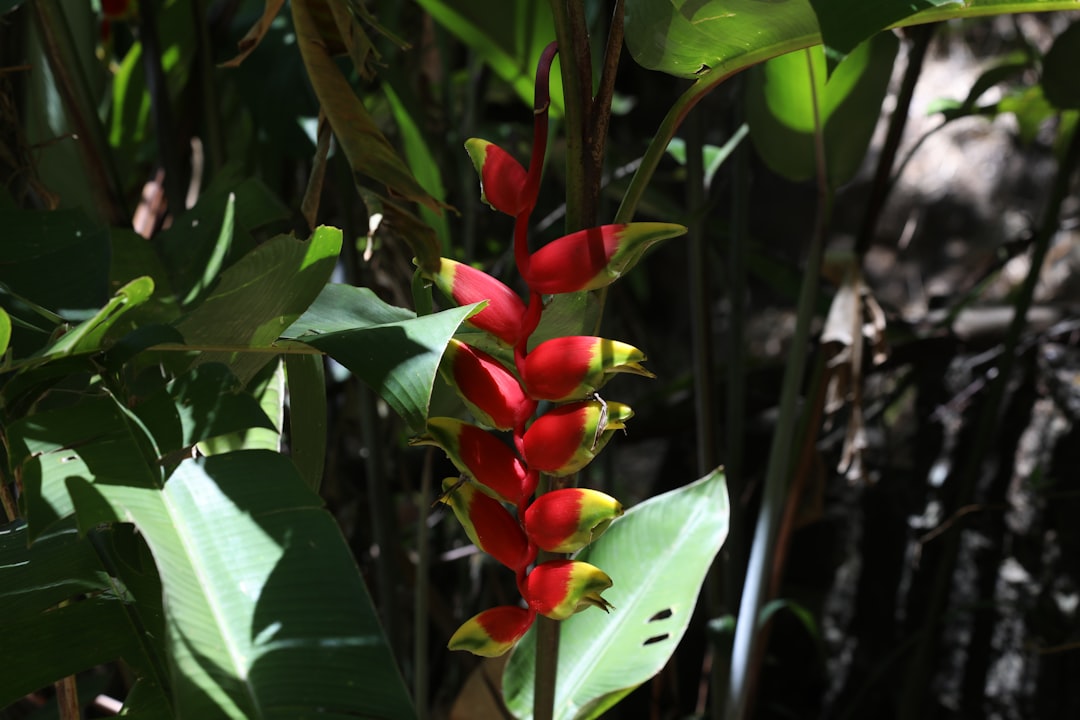 Descubre el mejor negocio para emprender y alcanzar el éxito