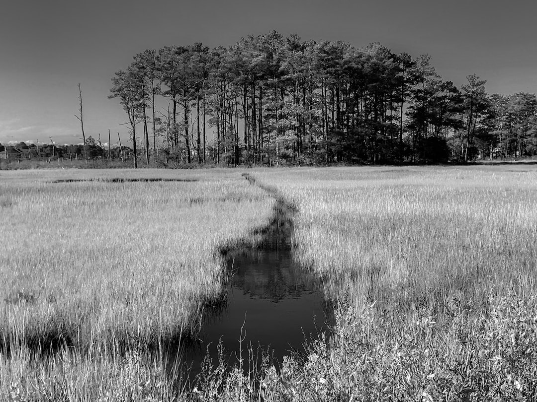 Descubre los 7 tipos de emprendimientos que te inspirarán al éxito