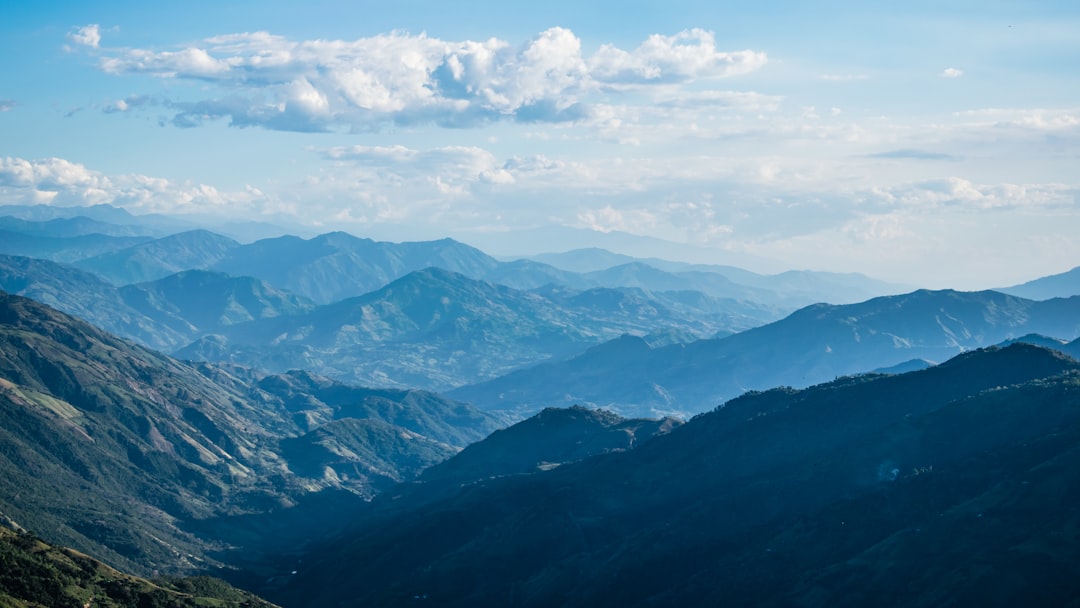 Descubre los tipos de emprendimientos más demandados en Colombia