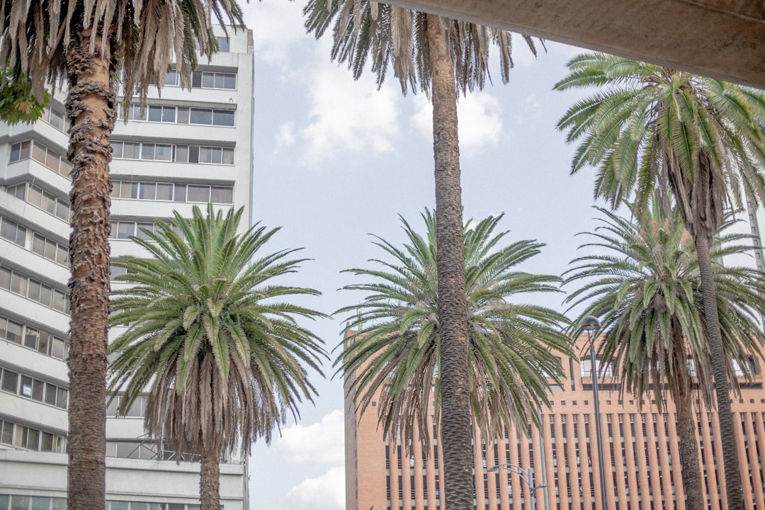 Lo más rentable en Colombia: Descubre las mejores oportunidades de inversión