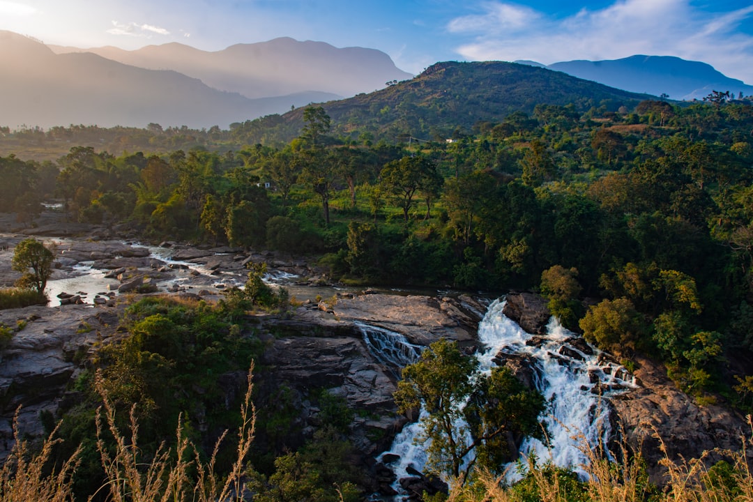 ¿Qué negocio sería bueno para empezar?